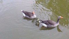 20160416_203647