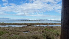 20160417_111619