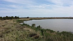 20160418_155524