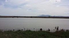 20160418_155527