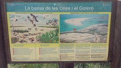 20160418_162517