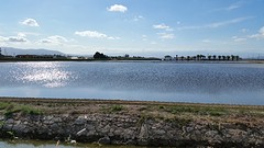 20160418_173041