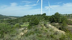 20160419_113932