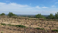 20160419_114252