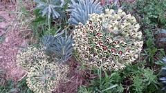 20160420_191308