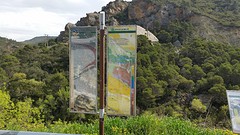 20160421_111236