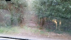 20160421_144428