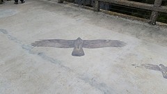 20160422_160402