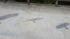 20160422_160409