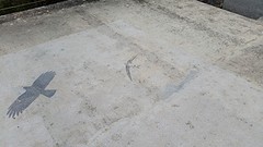 20160422_160419