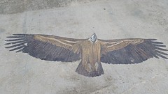 20160422_160439