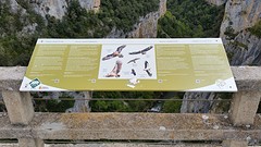 20160422_160448