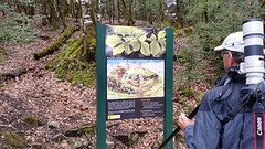 20160423_124712