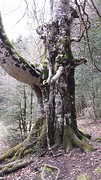 20160423_133347
