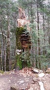 20160423_134729