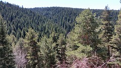 20160425_131823