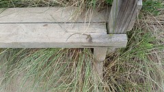 20160426_152133