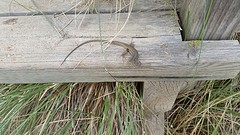 20160426_152145