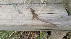 20160426_152202