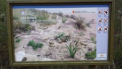 20160426_201013