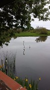 20160427_142231