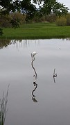 20160427_142252