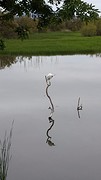 20160427_142254