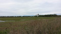 20160428_130328