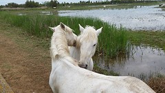 20160428_131024