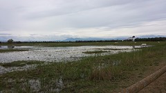 20160428_145407