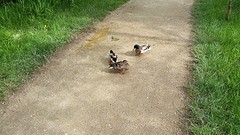 20160428_172953