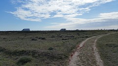 20160429_103723