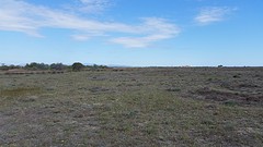 20160429_103735