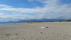 20160429_105209