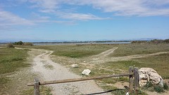20160429_105705