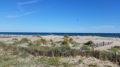 20160429_171224
