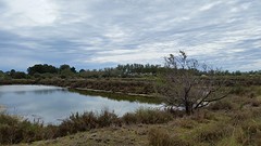 20160430_144221