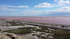 20160501_163837