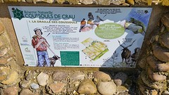 20160502_165426