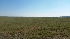 20160502_165905