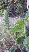 20160504_165857