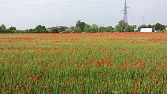 20160510_100542
