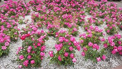 20160511_121850