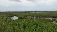 20160513_115816