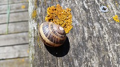 20160515_110030