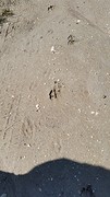 20160515_110454