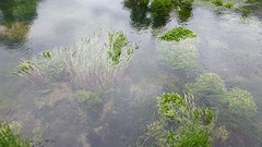 20160524_113416