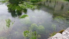 20160524_113425