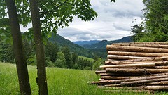 20160524_134142