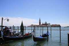 IMG_4872